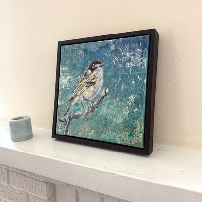 Black Capped Vireo Original Oil Painting